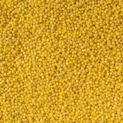 Hulled millet grains in bulk for wholesale and export