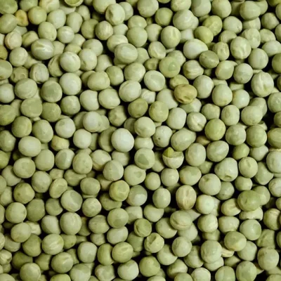 whole green peas supplier from Ukraine