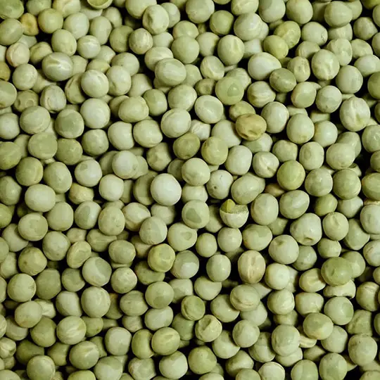 whole green peas supplier from Ukraine