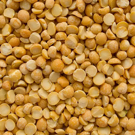 yellow split peas supplier from Ukraine